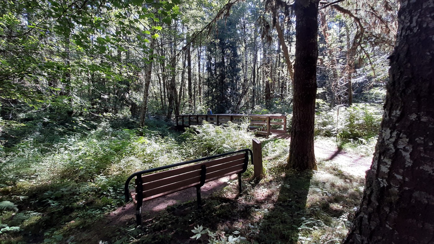 Woods Creek — Washington Trails Association